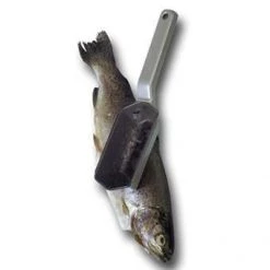 KITCHENWARE Westmark Scalex Fish Scaler