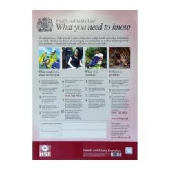 Mileta Signs & Products Health & Safety Law Poster 595 Mm X 415 Mm First Aid, Safety & Signage
