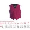 Denny's Denny Claret / Wine Waistcoat Ds27G Chefs Clothing