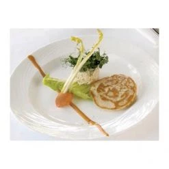 Steelite Spyro Plate