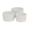 Neville Uk Genware White Smooth Ramekin