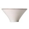 CROCKERY Steelite Koto Axis Bowl